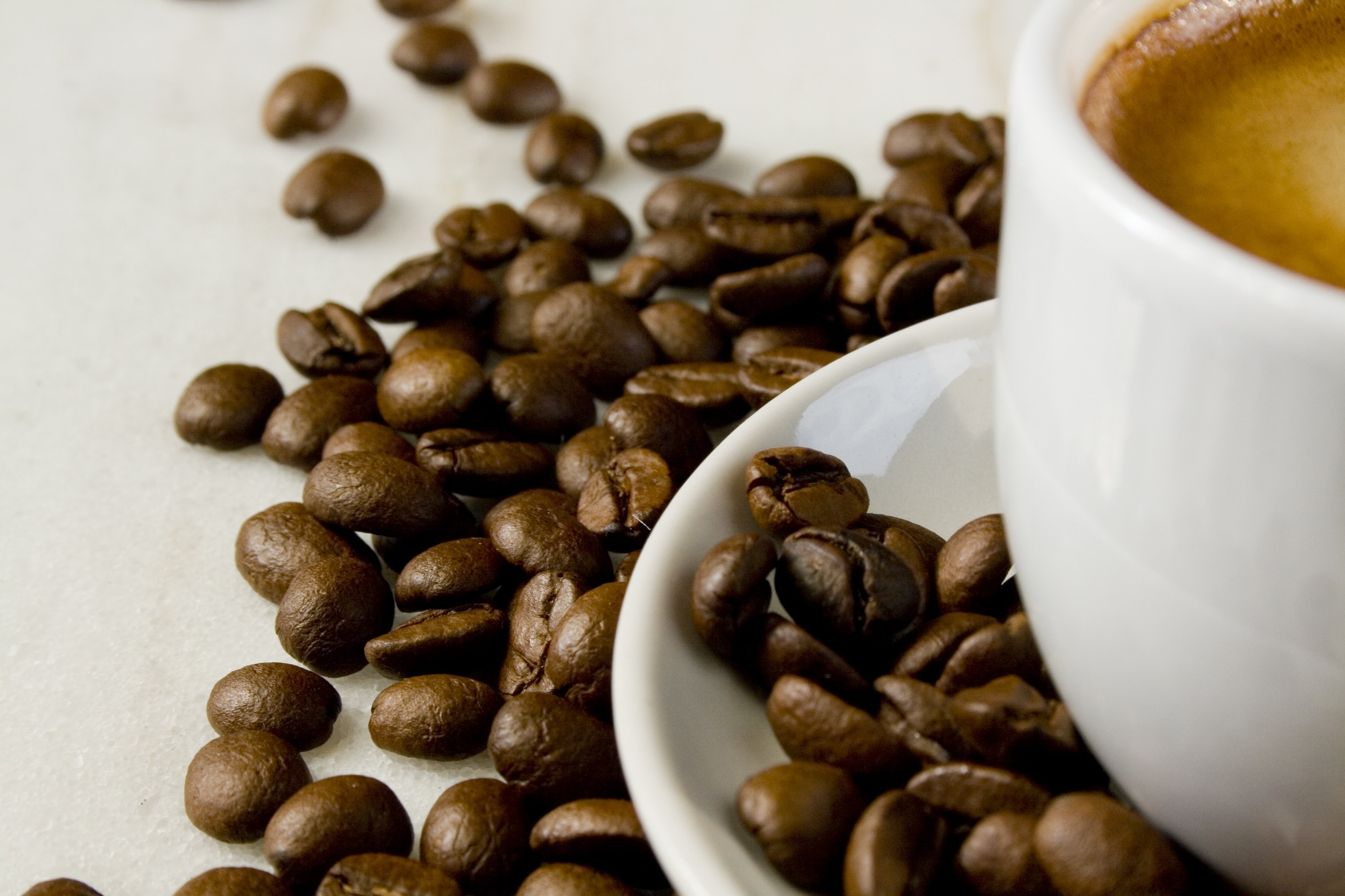 Banner Alt Etiketi